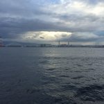 【2016年】大阪南港のシーサイドコスモでタチウオ釣り！