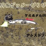 【最強の仕掛け】太刀魚ゲッターの釣り方(アクション)改造方法について